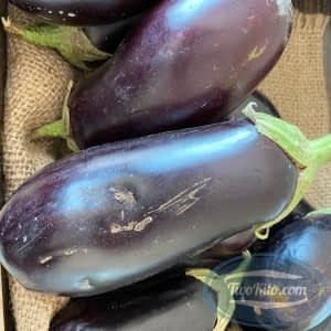 Eggplant