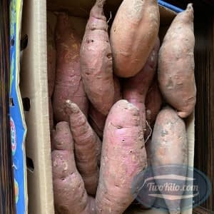 Sweet Potato