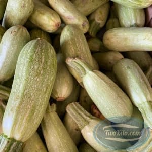 Zucchini