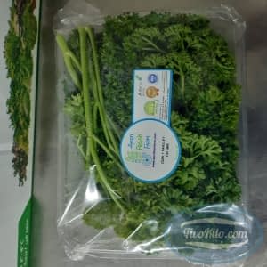 Parsley