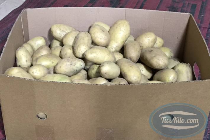 Fresh Potato