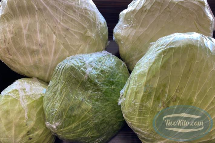 Fresh Cabbage