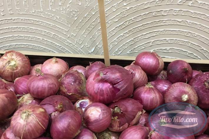 Fresh Onion