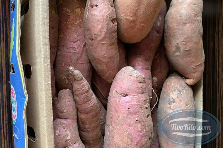 Fresh Sweet Potato