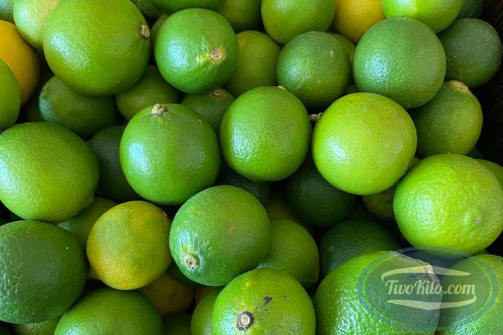 Fresh Lime