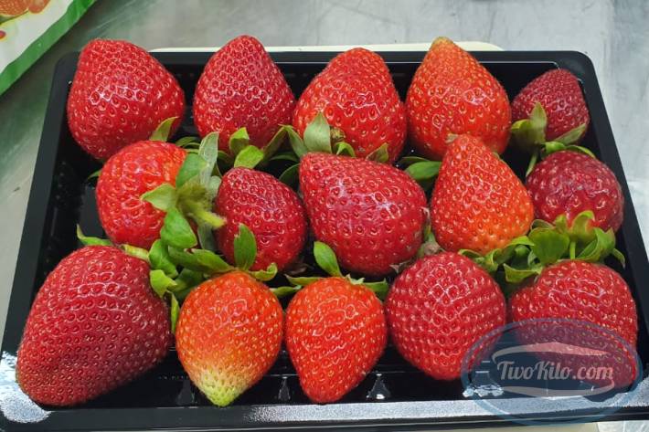 Fresh Strawberry