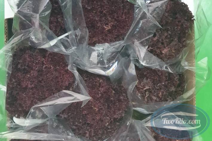 Fresh Lollo rossa lettuce