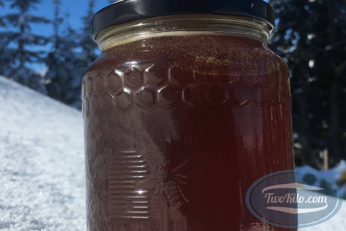 Fresh Forest Honey